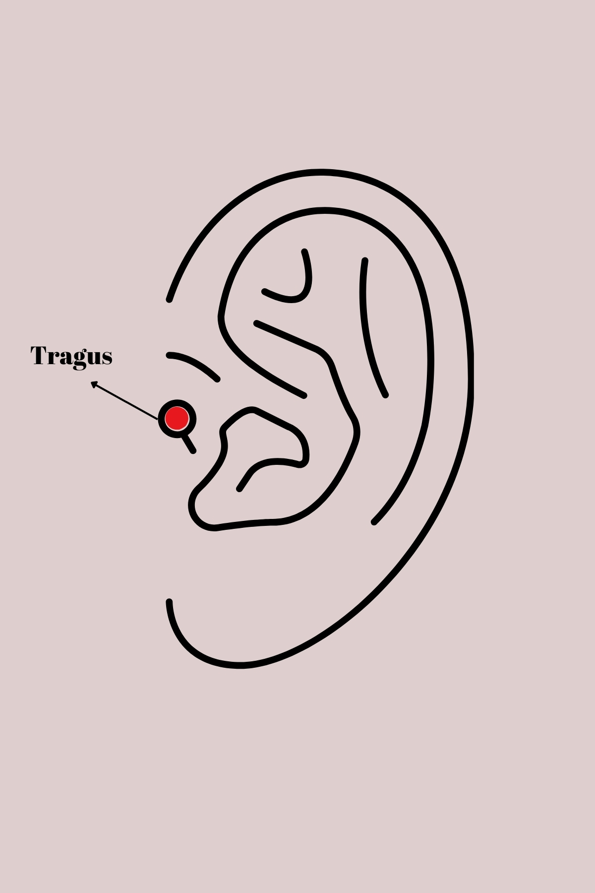 316L Çelik Gümüş Renk Zirkon Taşlı Tragus Piercing - Bayi Depom