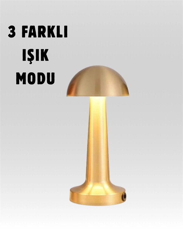 %100 Kademeli Ayarlanabilir Işık – USB Şarjlı Masa Lambası ( Bayi Depom ) %100 Kademeli Ayarlanabilir Işık – USB Şarjlı Masa Lambası ( Bayi Depom )
