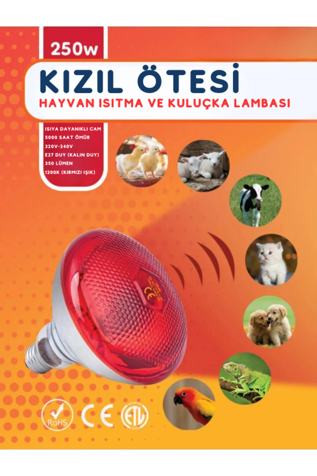 (6 Adet) 250W Kızılötesi Isıtıcılı Hayvan Isıtma ve Kuluçka Lambası (Kırmızı Işık) E27 (Kalın Duy) ( Bayi Depom )