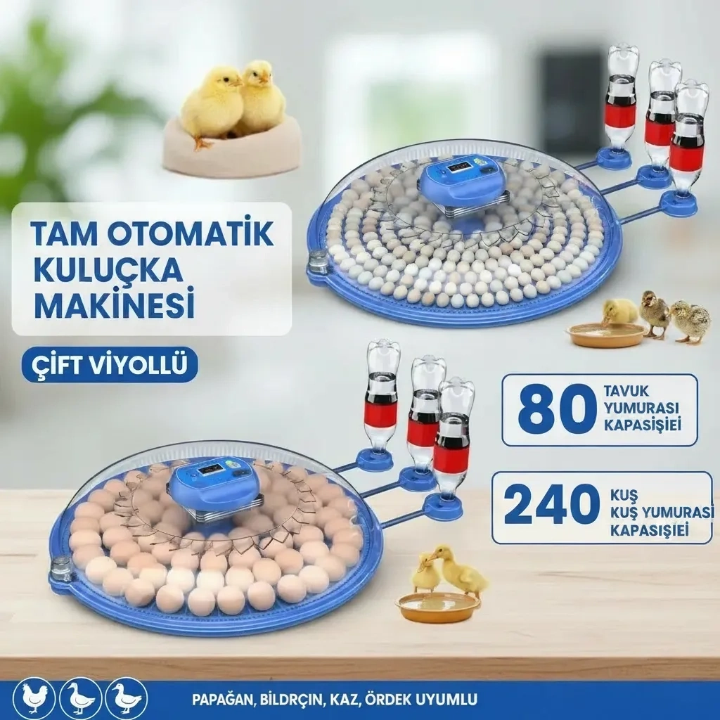 80 ve 240 Kapasiteli Fonksiyonel Tam Otomatik Kuluçka Papağan Mini Kuş Tavuk Kaz Ördek Uyumlu ( Bayi Depom ) 80 ve 240 Kapasiteli Fonksiyonel Tam Otomatik Kuluçka Papağan Mini Kuş Tavuk Kaz Ördek Uyumlu ( Bayi Depom )