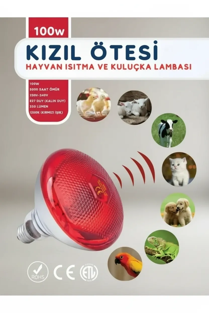 100W Kızılötesi (infrared) Isıtıcılı Hayvan Isıtma ve Kuluçka Lambası (Kırmızı Işık) E27 (Kalın Duy) ( Bayi Depom ) 100W Kızılötesi (infrared) Isıtıcılı Hayvan Isıtma ve Kuluçka Lambası (Kırmızı Işık) E27 (Kalın Duy) ( Bayi Depom )