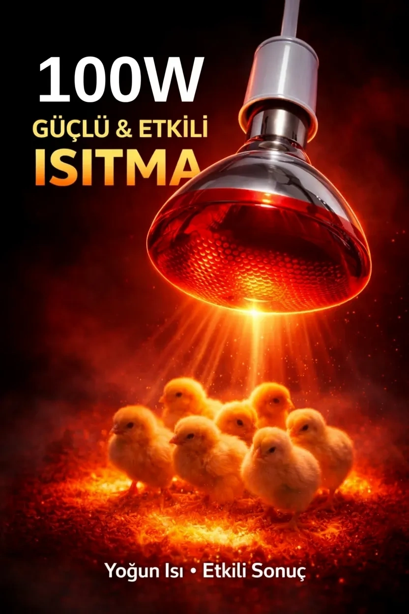 100W Isıtıcı Ampul Kırmızı Isı Lambası Civciv Kümes Kuluçka E27 Duy Isıtma Ampulü ( Bayi Depom )