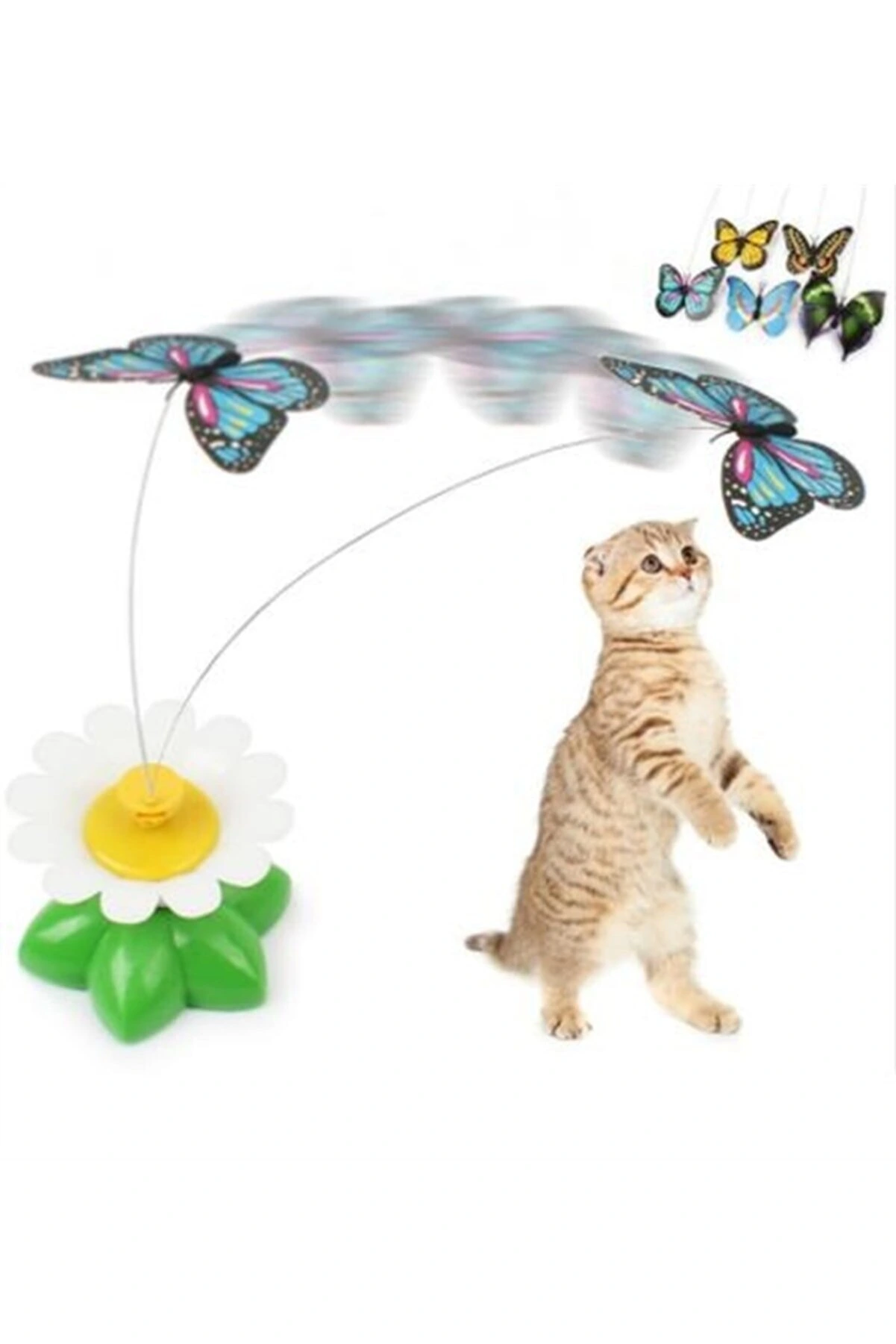 Hareketli Pilli Kelebek Kedi Oyuncağı ( Bayi Depom ) Hareketli Pilli Kelebek Kedi Oyuncağı ( Bayi Depom )