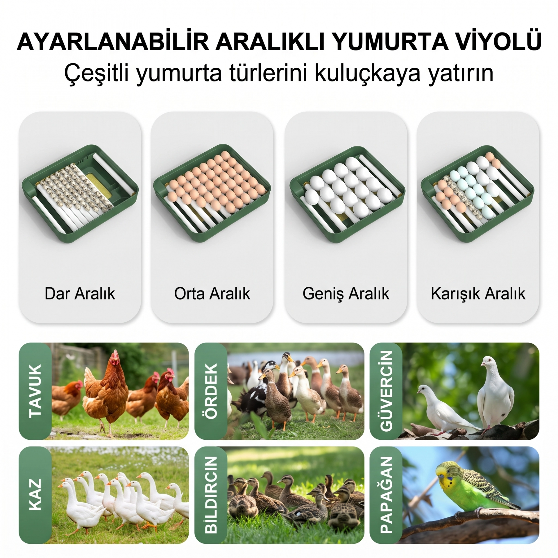MY110 Yumurta Kapasiteli Tam Otomatik Kuluçka Makinesi Su Pompası ve Yedek Çevirme Motoru Hediyeli ( Bayi Depom ) MY110 Yumurta Kapasiteli Tam Otomatik Kuluçka Makinesi Su Pompası ve Yedek Çevirme Motoru Hediyeli ( Bayi Depom )