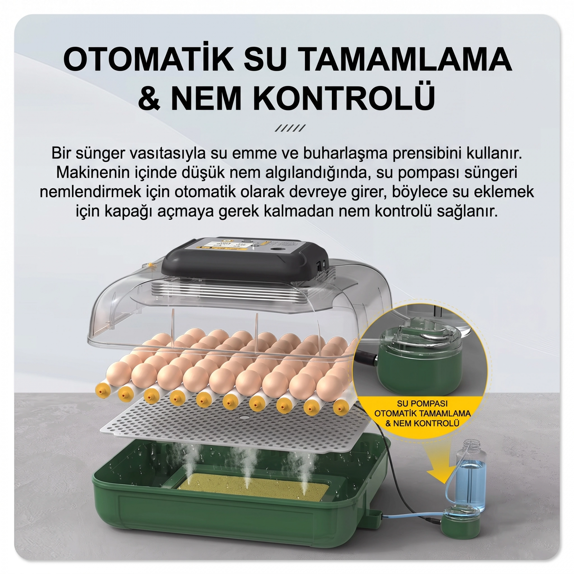MY110 Yumurta Kapasiteli Tam Otomatik Kuluçka Makinesi Su Pompası ve Yedek Çevirme Motoru Hediyeli ( Bayi Depom ) MY110 Yumurta Kapasiteli Tam Otomatik Kuluçka Makinesi Su Pompası ve Yedek Çevirme Motoru Hediyeli ( Bayi Depom )