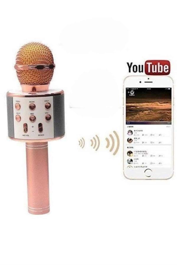 Bluetooth Hoparlör USB AUX SD Kart Kaoroke Mikrofon Uzun Pil Ömrü - Bayi Depom