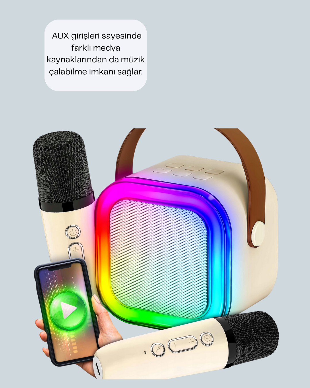 Ses Efektli Mikrofonlu Kablosuz Karaoke Sistemi - Bayi Depom