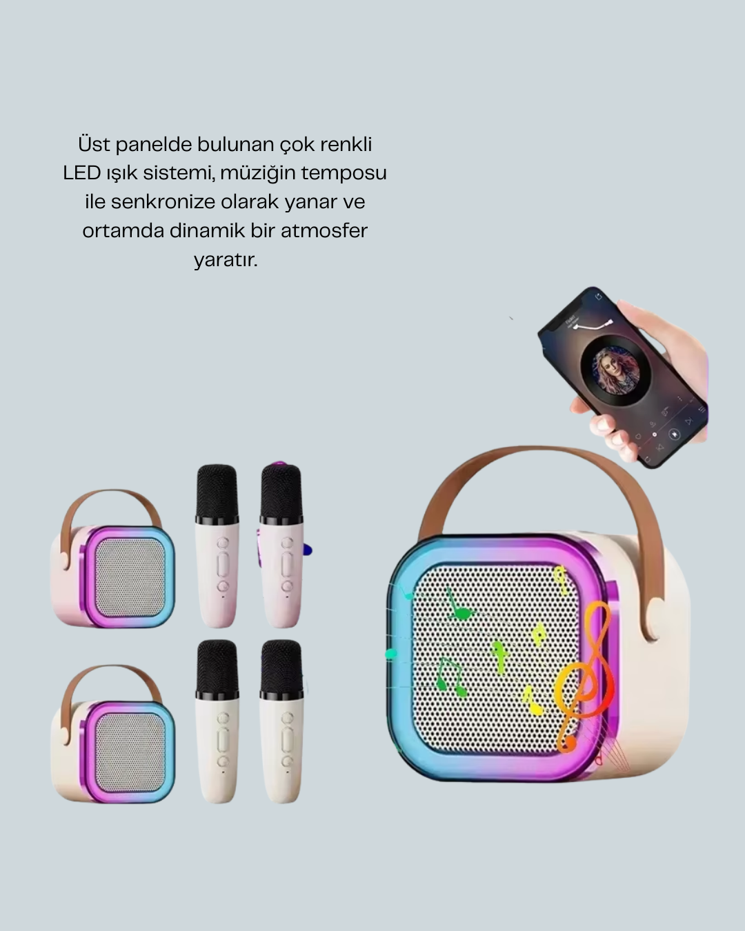Ses Efektli Mikrofonlu Kablosuz Karaoke Sistemi - Bayi Depom