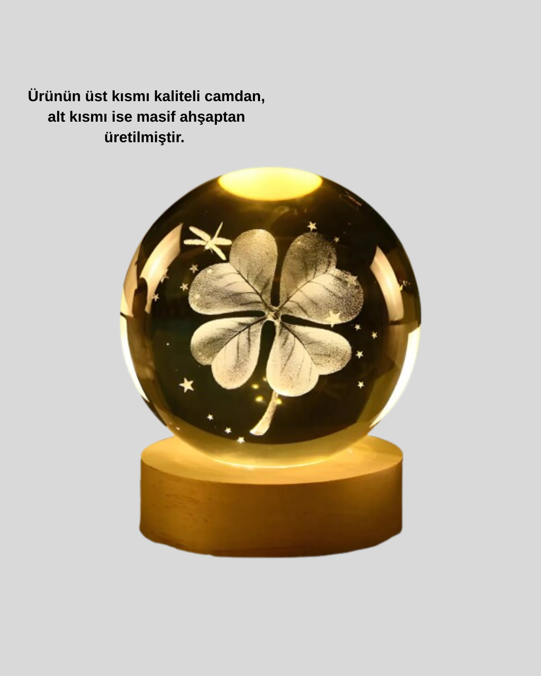 Bitki Temalı LED Işıklı Cam Küre Ahşap Standlı Modern Gece Lambası - Bayi Depom